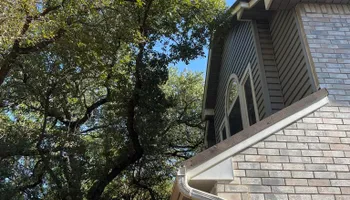 Tree Removal for Z’s Trees LLC in Grey Forest, TX