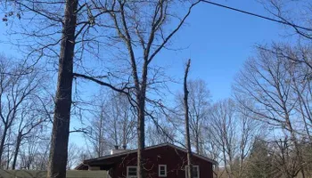 Tree Removal for Merriman's Tree Service in Nineveh,  IN