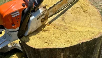 Tree Removal for Compas Cleanup in McCamey, TX