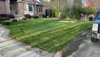 Tree Removal for K and Z Tree Care in Andover, MN