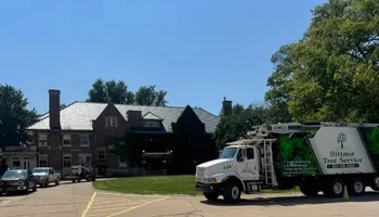 Tree Removal for Dittmer Tree Service in Davenport, IA