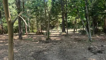 Land Clearing for Miller Farms Hay & Land Management in Knoxville, TN