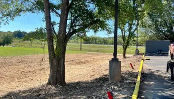 Land Clearing for Big Munchie Landworx in Jackson, MS