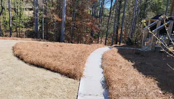 Pinestraw for BAM Another Pinestraw Lot in Flowery Branch, GA