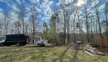Tree Removal for Ross Family Tree Service LLC  in Hohenwald, TN