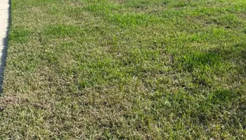 Fall Clean Up for Estrada All Pro Lawn Service in Auburndale, Florida