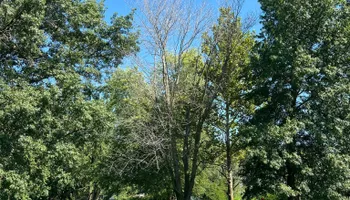 Tree Removal for Baker Professional Services LLC in Shelbina, MO