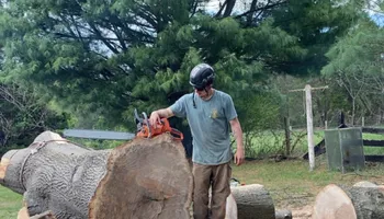 Tree Removal for Gray's Tree Service  in Shenandoah County, VA