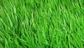 Mowing for Dawson’s Lawn Care in Hamilton, OH