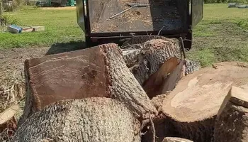Tree Removal for Highlands Tree Service LLC in Avon Park, FL