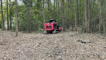 Land Clearing & Demolition for Double J Excavation in Nashville, AR