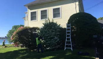 Tree Removal for Green In Green Out Tree Services in Westbrook, ME