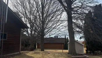 Tree Removal for Fransen's Tree Service  in Freeport, IL