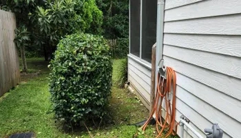 Lawn maintenance for Down & Dirty Lawn Svc  in Tallahassee, FL