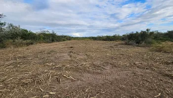 Land Clearing & Demolition for Hernandez Land Clearing Services in Alice, TX