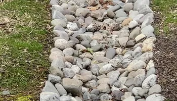 Tree Removal for W D Giampa Lawns and Landscape Inc. in Independent Hill, VA