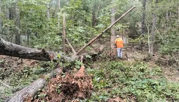 General Handyman Services for Goliath Tree Maintenance and Haul Away in Seneca, SC