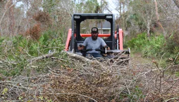 Tree Trimming for American Tree Masters in Alvin, TX