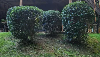 Mowing for JC Landscapers in Ellijay, GA