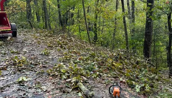 Lawn Maintenance for Brixton’s Lawn Care in Wilkesboro, NC