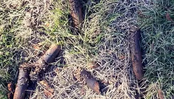Lawn Aeration for North Texas Groundscaping in Frisco, TX