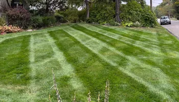 Landscape Design for MDR Landscaping in Urbana, IL