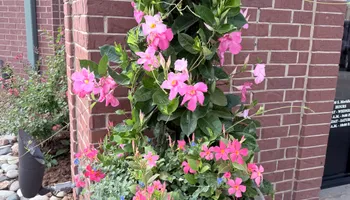 Commercial Maintenance/Installs for Urban Lawn & Landscape in Oklahoma City, OK