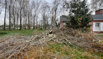 Tree Removal for Kadin’s Tree Service in North Vernon, IN