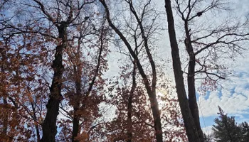 Snow Removal  for K and Z Tree Care in Isanti County, MN