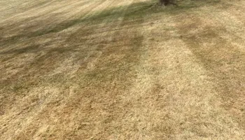 Lawn Maintenance for Thomas Clifford Property Services LLC in Enfield, NH