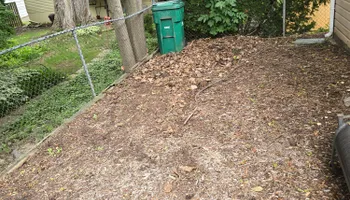 Dumpster Rentals for Newton's Junk Removal Services in Saline, MI
