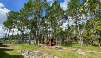 Tree Removal for Top Notch Tree Experts in Orange Park, FL