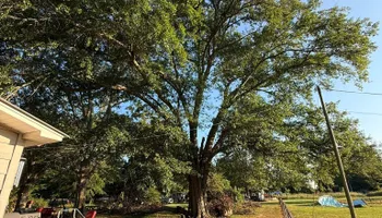 Land Clearing for Mud Creek Vegetation Management in Russellville, AL