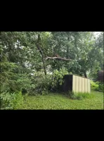 Tree Removal for Allstate Tree Service and Crane in Spring Lake Park, MN