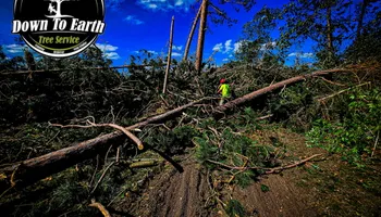 Tree Removal for Down To Earth Tree Service in Red Wing,  Minnesota