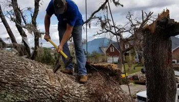 Tree Removal for Spruce Creek Tree Service in Port Orange, FL