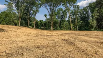 Land Clearing for Murray Excavation & Site services in Sunbury, OH