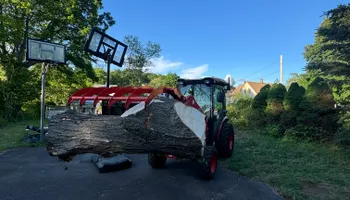Tree Services for Hennessey Tree & Landscape LLC in Oxford,  CT 