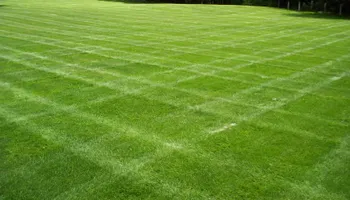 Mowing for Mow and Go in Syracuse, NY