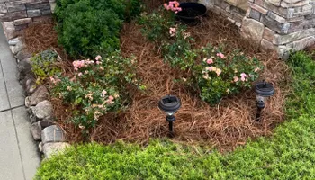 Mowing for Grandview Lawn Care in Norwood, NC