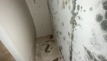 Water Mitigation for N&D Restoration Services When Disaster Attacks, We Come In in Cape Coral,  FL