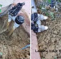 Fall Clean Up for Regalado Landscape in Antioch, CA