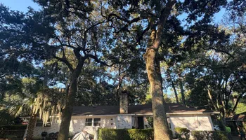 Tree Removal for Ayla Tree Service in Guyton, GA