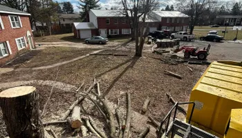 Tree Removal for SMITHs Tree Service in Columbus, IN