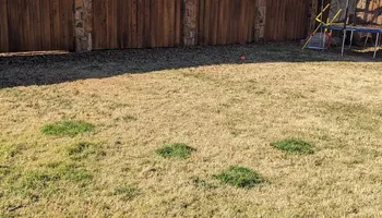 Fence Installation for A1 FENCE in Midland County, TX