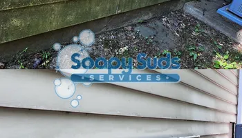 Pressure Washing for Soapy Suds Services in St. Charles, IL