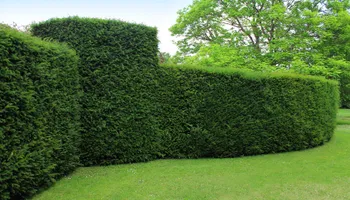 Lawn Maintenance for The FAAR Group INC in Chalfont, PA