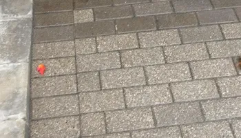 Interlock Paver Repair for Pure Pavers Restoration in Burlington, ON