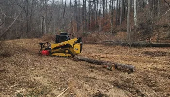 Logging for Bennett Logging in Gosport, Indiana