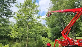 Tree Removal for Smith Tree Experts in Palmyra, VA
